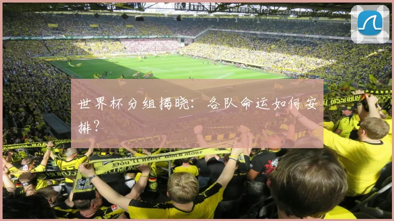 世界杯分组揭晓：各队命运如何安排？