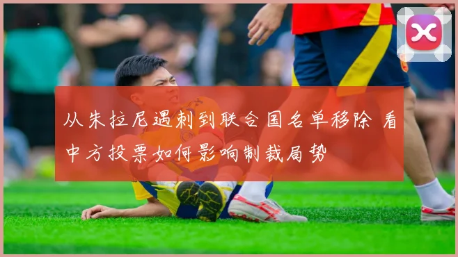 从朱拉尼遇刺到联合国名单移除 看中方投票如何影响制裁局势