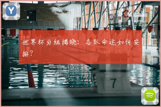 世界杯分组揭晓：各队命运如何安排？