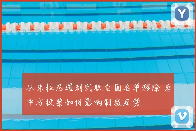 从朱拉尼遇刺到联合国名单移除 看中方投票如何影响制裁局势